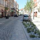 zdjęcie nr 8