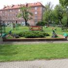zdjęcie nr 7