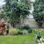 zdjęcie nr 40