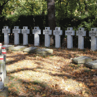 zdjęcie nr 20