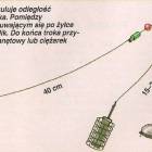 Fotka nr 2 z 4