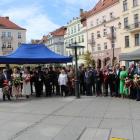 zdjęcie nr 46