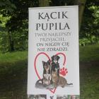 zdjęcie nr 10