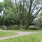 zdjęcie nr 97