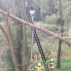 Fotka nr 1 z 8