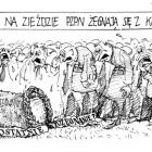 zdjęcie nr 347