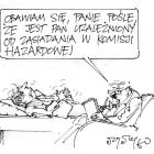 zdjęcie nr 460
