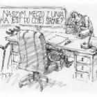 zdjęcie nr 240