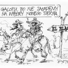 zdjęcie nr 253