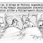 zdjęcie nr 224