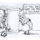 zdjęcie nr 53