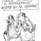 zdjęcie nr 362