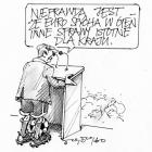 zdjęcie nr 175