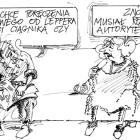 zdjęcie nr 284