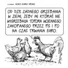zdjęcie nr 173