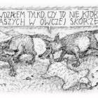 zdjęcie nr 234