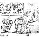 zdjęcie nr 324