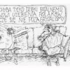 zdjęcie nr 246