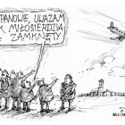 zdjęcie nr 64