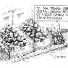 zdjęcie nr 268