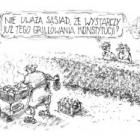 zdjęcie nr 226