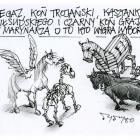 zdjęcie nr 110