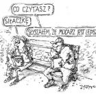 zdjęcie nr 497