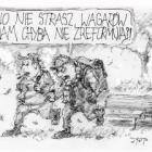 zdjęcie nr 83