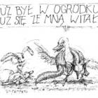 zdjęcie nr 428