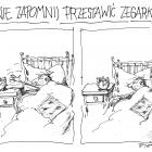 zdjęcie nr 331