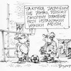 zdjęcie nr 338