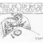 zdjęcie nr 178