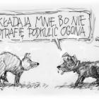 zdjęcie nr 244