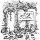 zdjęcie nr 484