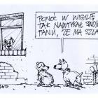 zdjęcie nr 132