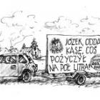 zdjęcie nr 220