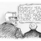 zdjęcie nr 133