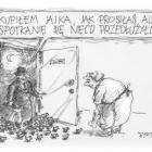 zdjęcie nr 218