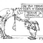 zdjęcie nr 272