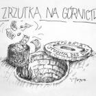 zdjęcie nr 44