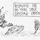 zdjęcie nr 335