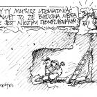 zdjęcie nr 249