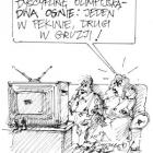 zdjęcie nr 380