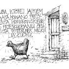 zdjęcie nr 259