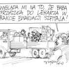 zdjęcie nr 307