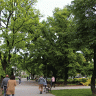 zdjęcie nr 42