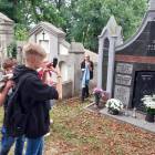 zdjęcie nr 11