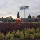 zdjęcie nr 7