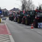 zdjęcie nr 8