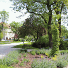 zdjęcie nr 66